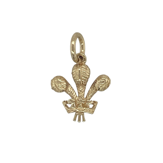 9ct Gold Welsh Three Feathers Pendant