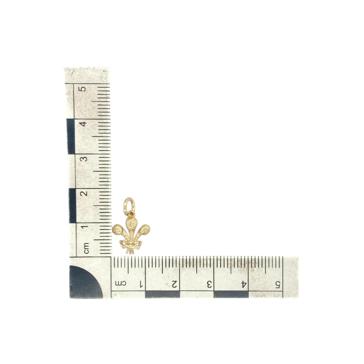 9ct Gold Welsh Three Feathers Pendant