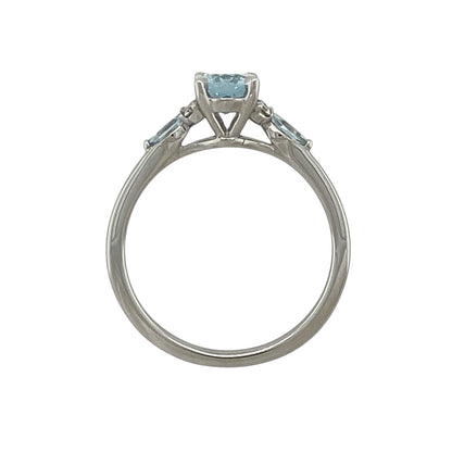 9ct White Gold Diamond & Aquamarine Ring
