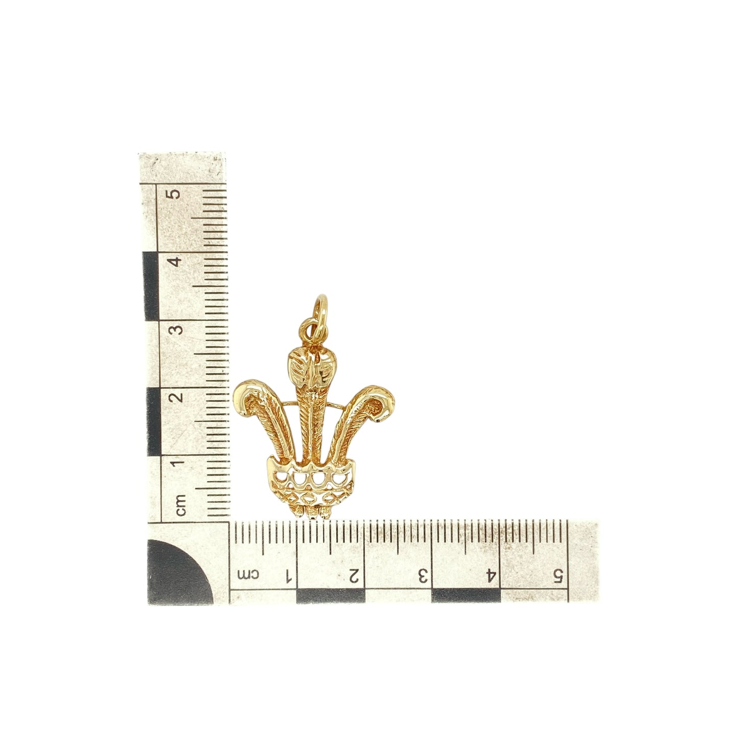 9ct Gold Welsh Three Feathers Pendant