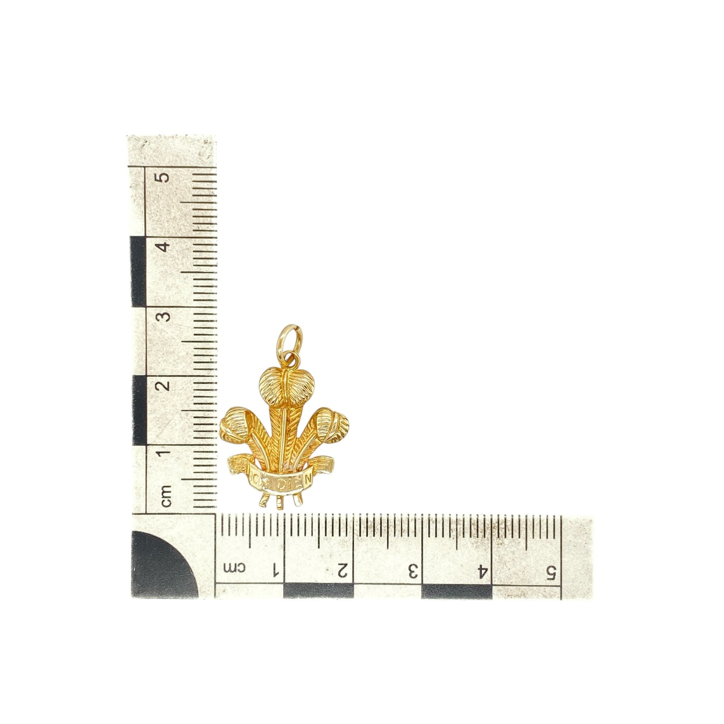 9ct Gold Welsh Three Feathers Pendant