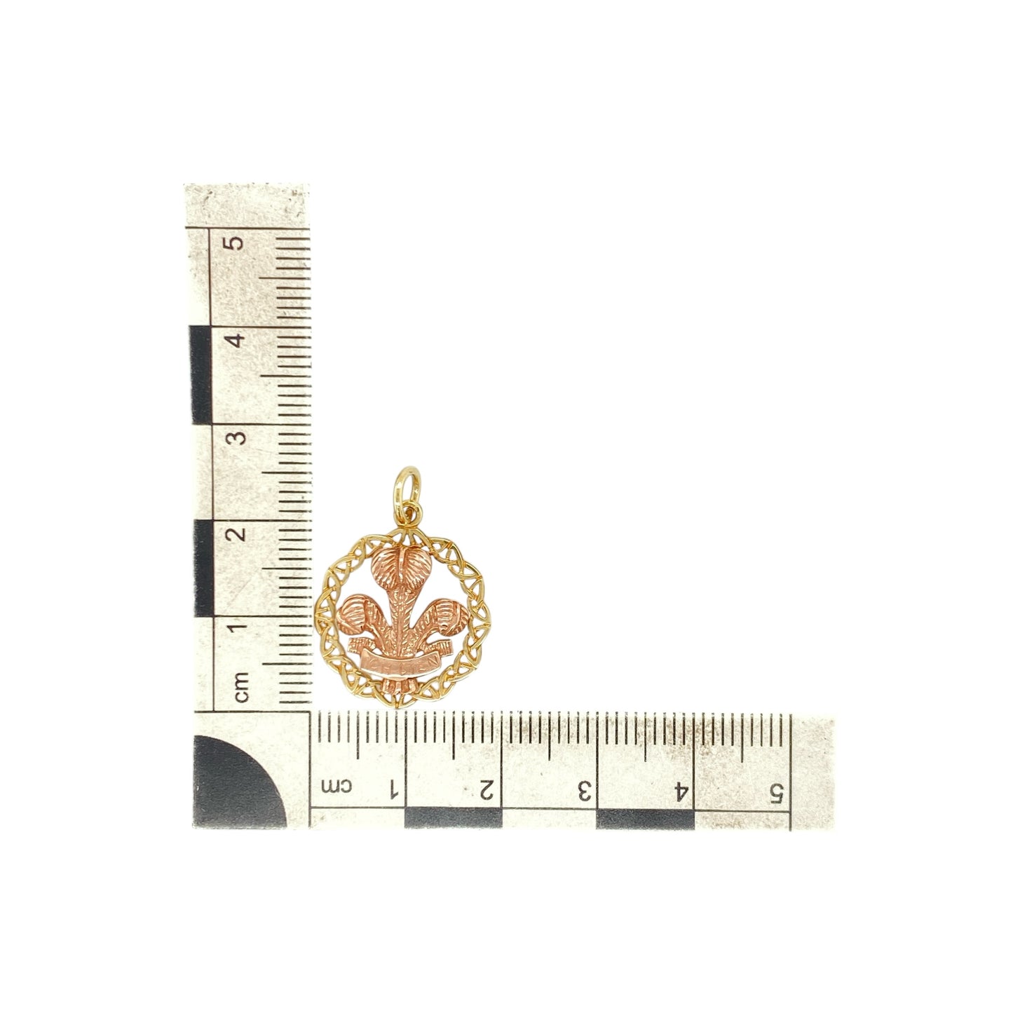 9ct Gold Welsh Three Feathers Round Celtic Pendant