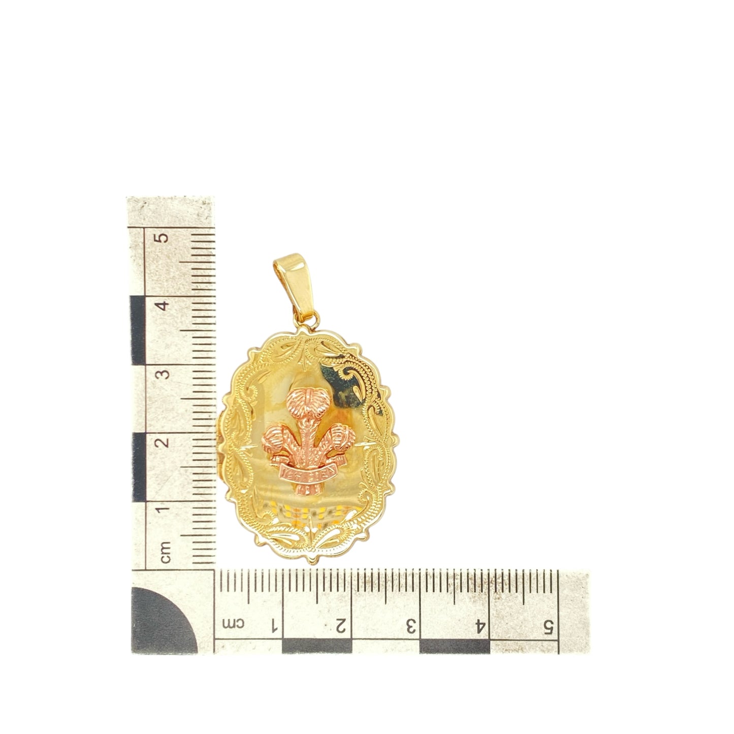 9ct Welsh Gold Three Feathers Scalloped Edge Oval Locket