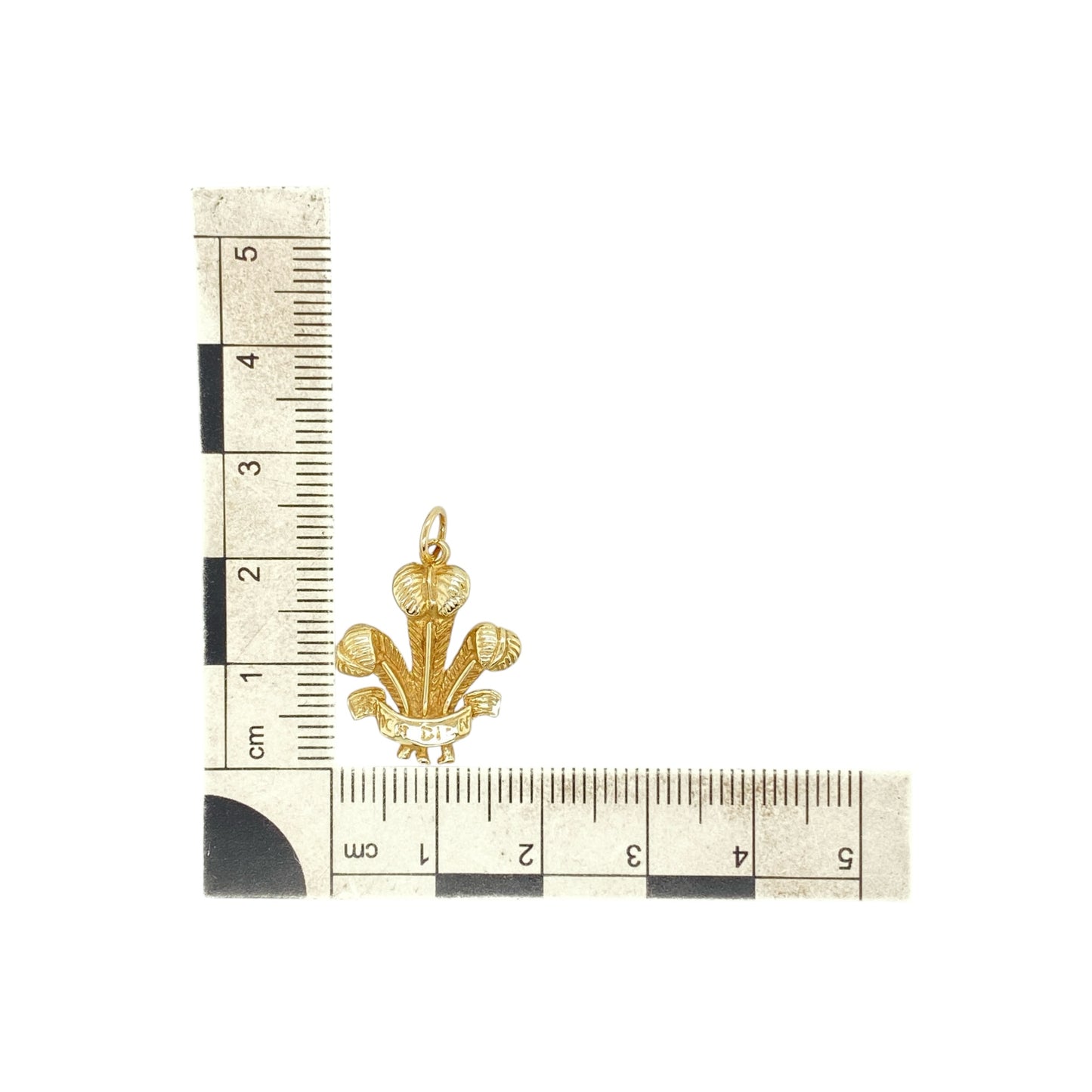 9ct Gold Welsh Three Feathers Pendant