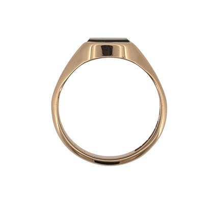 9ct Gold & Bloodstone Signet Ring