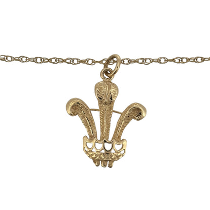 Add a traditional touch to your jewellery collection with this pre-owned 9ct yellow gold Three Feathers pendant necklace, featuring a distinctive Welsh-inspired design suspended from a classic 20-inch Prince of Wales chain.

Design: The necklace features a decorative Three Feathers pendant, inspired by the traditional Prince of Wales feathers motif, creating an elegant and meaningful appearance.