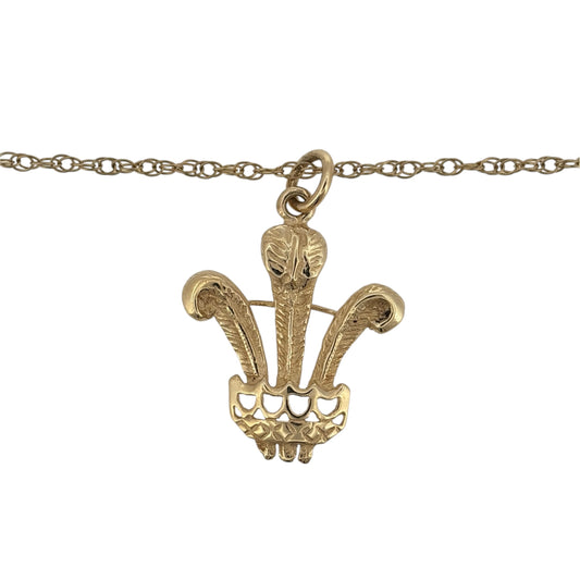 Add a traditional touch to your jewellery collection with this pre-owned 9ct yellow gold Three Feathers pendant necklace, featuring a distinctive Welsh-inspired design suspended from a classic 20-inch Prince of Wales chain.

Design: The necklace features a decorative Three Feathers pendant, inspired by the traditional Prince of Wales feathers motif, creating an elegant and meaningful appearance.