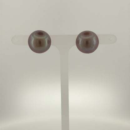 9ct Gold & Purple Grey Pearl Stud Earrings
