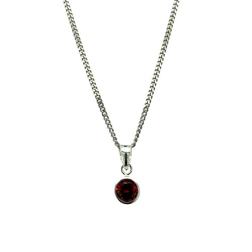 New 925 Silver January Birthstone Pendant 18