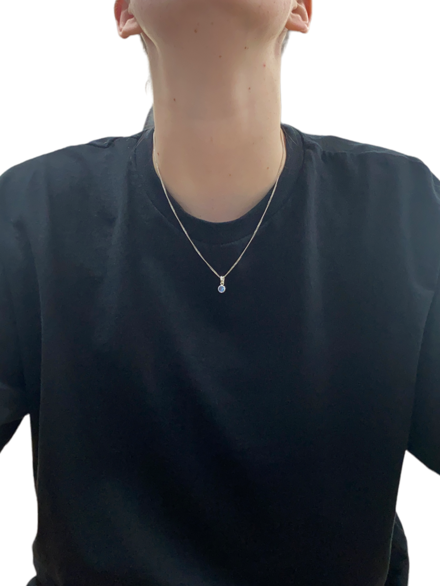 New 925 Silver December Birthstone Pendant 18"/20" Necklace